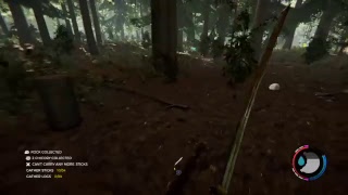 Fighting Hooligans 2