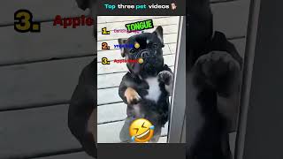 Best Three pet videos 🦴