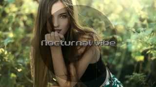 Broiler feat. RAVVE - Wild Eyes