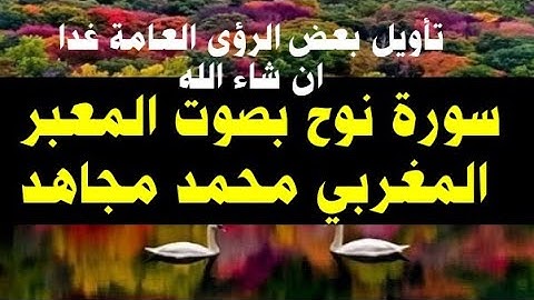 سورة نوح بصوت المعبر المغربي محمد مجاهد/ قراءة ورش/ 🇲🇦🇲🇦🇲🇦🇲🇦
