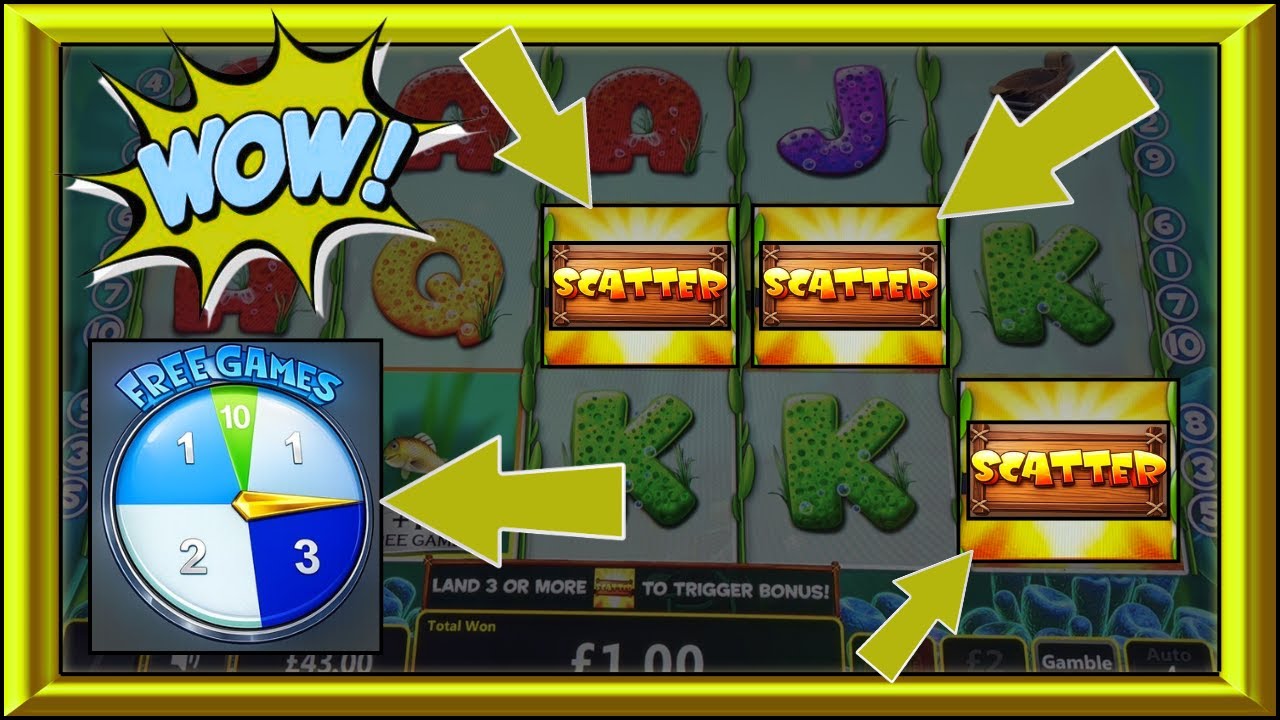 Catch Of The Day, Fortune Spins & Big Hits!