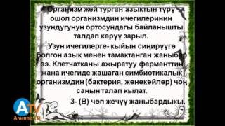 Предметтик тест. Биология. Уландысы 2.