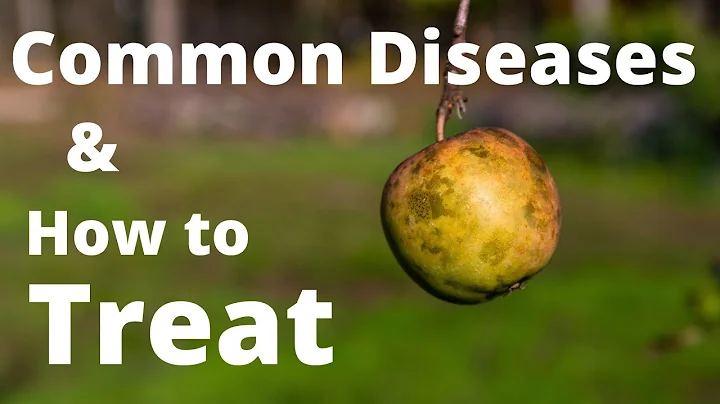 10 Common Apple Tree Diseases and How to Treat Them