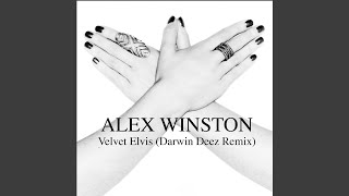 Velvet Elvis (Darwin Deez Remix)