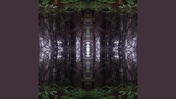 Not Alone (Trailer Version)