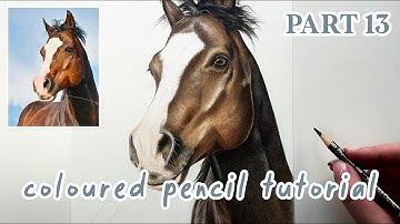 How to Draw a Horse in Coloured Pencils | Realistic Drawing Tutorial Full Series | Part 13