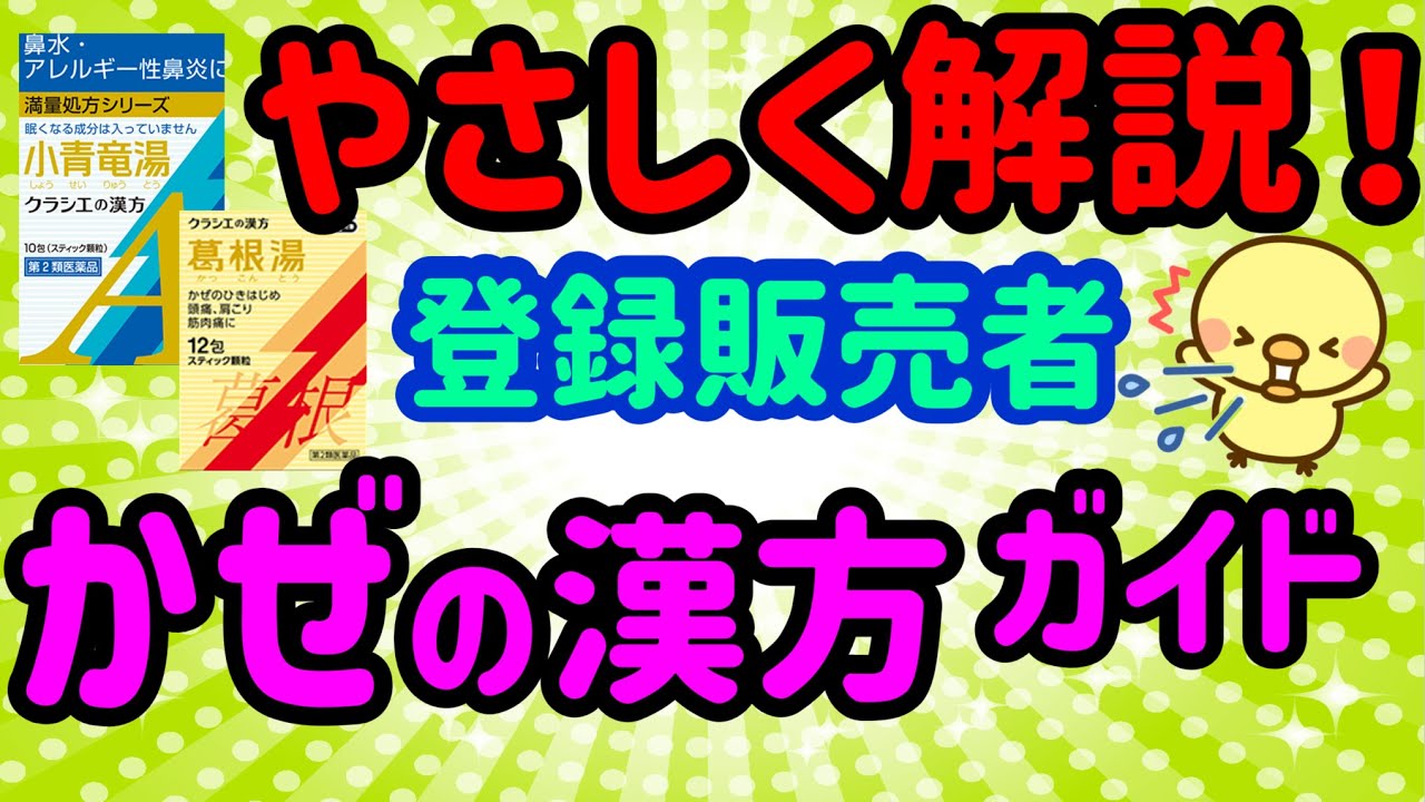 誰にでも分かる！【かぜの漢方】新人 登録販売者