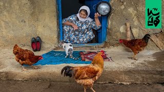 Country life vlog in Talesh mountains 5 ⌘ ولاگ زندگی روستایی قسمت پنجم، لونگی مرغ