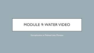 Module 9 Water Video
