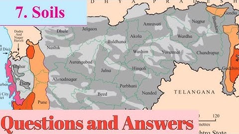 7th Geography lesson 7. Soils. Question and Answers.