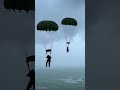 Watch This K9 Jump When the Storm Says Otherwise