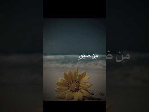 الله يعلم ما نشكو من الألم انشودة جميلة بدون موسيقى لايك لاتنسوا الاشتراك في القناة وتفعيل الجرس