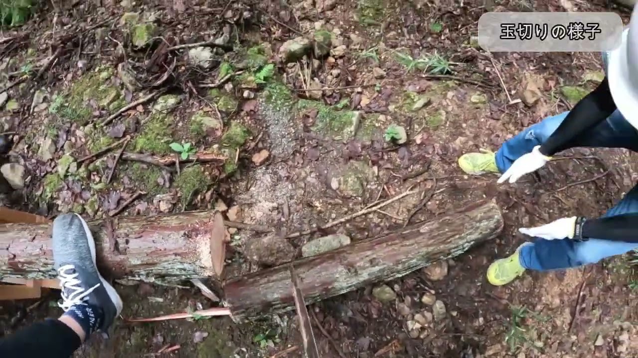 ニッセイ美杉の森でのボランティア活動（2024.10.5）