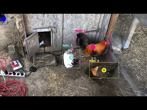 Four chickens tracking