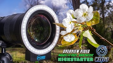 MAVEN FILTERS WAVE 3 OVERVIEW | RELEASE DATE AUG 12th, 2025 - 8am Pacific