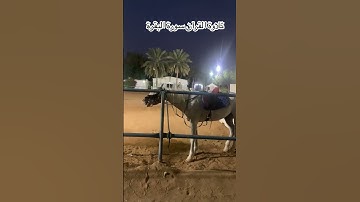 ‏قرآن سورة البقرة #اكسبلور #ارحقلبك #ارح_قلبك #دويتو #تيك_توك #لايك #ارحسمعك #رعدالكردي #ترند