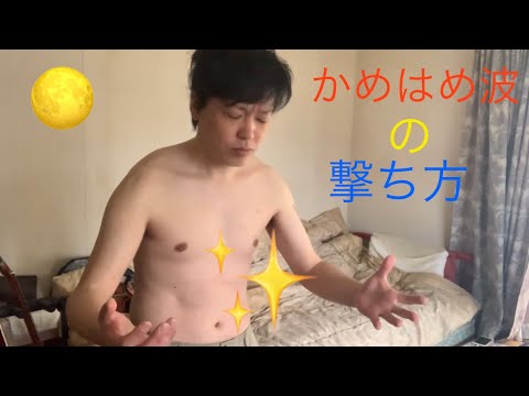 かめはめ波の撃ち方?(´⊙ω⊙`)