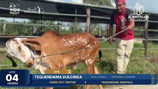 LOTE 04