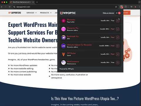 WPoptic - Detect WordPress plugins and theme instant on websites video preview 2