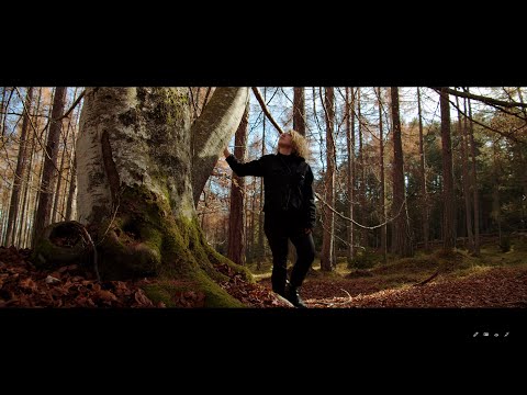 BMPCC 4K / The Forest 4K / Austria