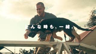 ブラッド・ピットと義足の犬が紡ぐ“絆”の物語 映画『ハート・オブ・ビースト』特報