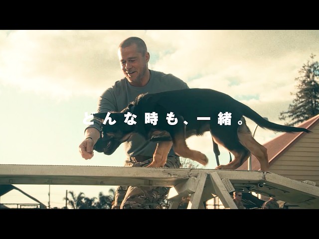 ブラッド・ピットと義足の犬が紡ぐ“絆”の物語　映画『ハート・オブ・ビースト』特報