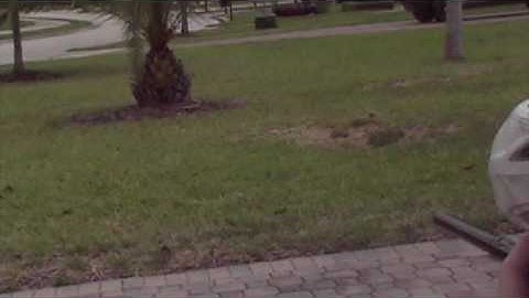 Macdev Clone PSP 12.5