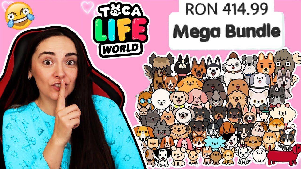 FELIX A AFLAT CAT Am CHELTUIT In TOCA BOCA !