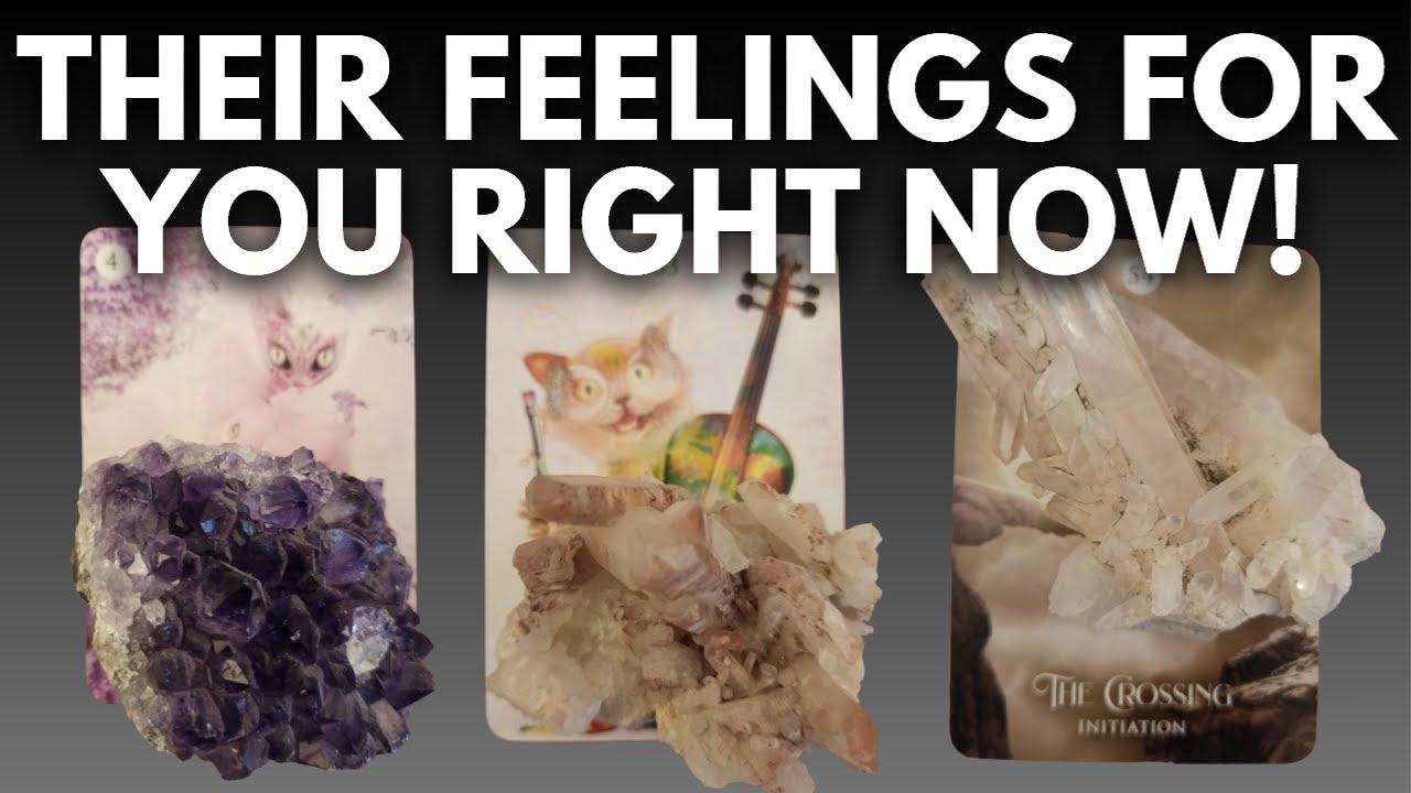 THEIR TRUE FEELINGS RIGHT NOW! PICK A CARD TIMELESS TAROT READING - YouTube