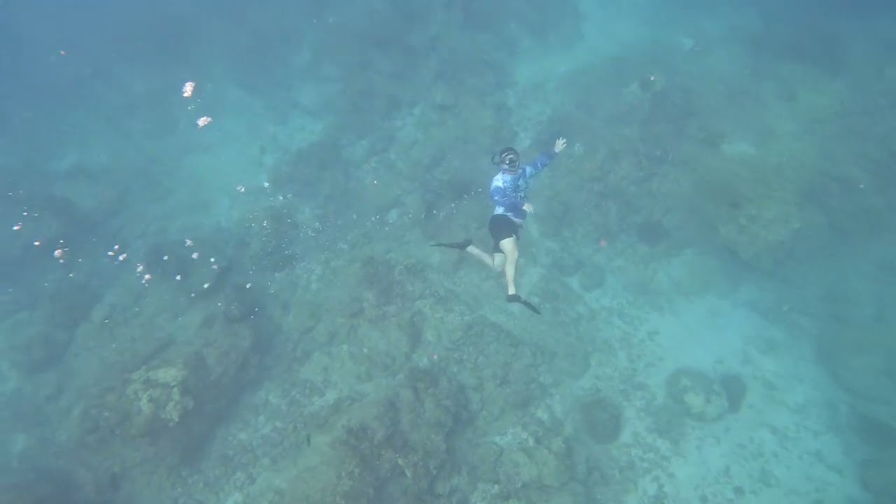 Snorkelling off Caño island - Costa Rica 2/1/26