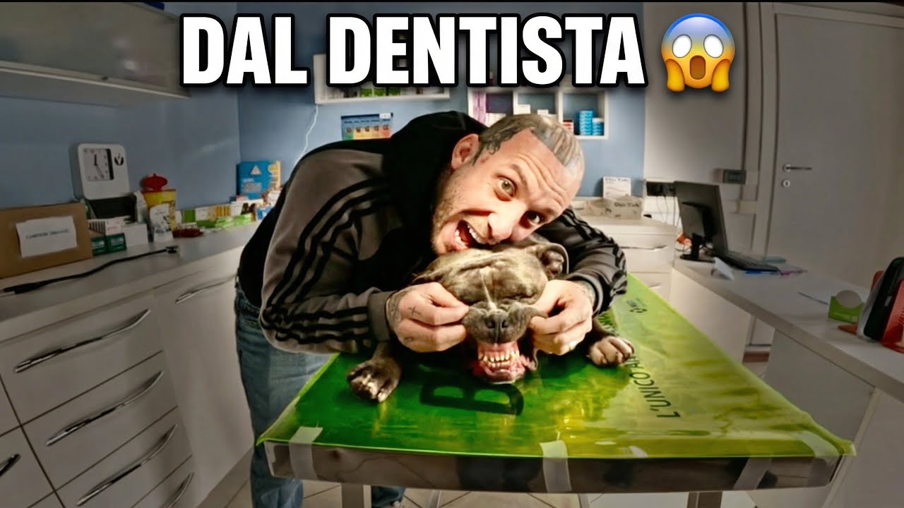 Porto mino dal dentista per la prima volta