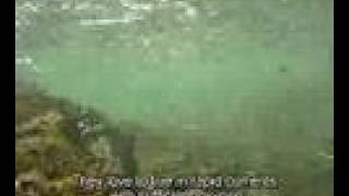 Finding fish
