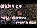 『桜色舞うころ』中島美嘉(徳永英明ver.)-covered by MARUCO-