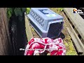 Mama Opossum And Her Babies Trapped Between Two Fences | The Dodo