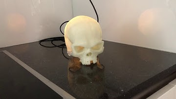 Arduino 3D printed Led skull