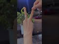 Tập ảo thuật Thun 😍 #giảitrí #aothuat #cute #shortvideo