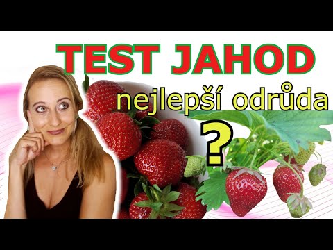 Video: Jahodová 