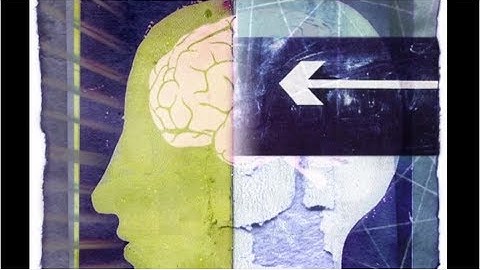 James Evans: Let Knowledge about Knowledge Grow from More to More