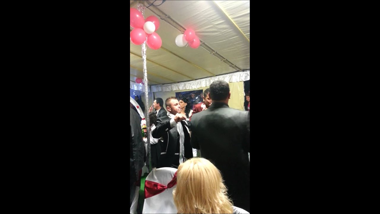 djamaika i tedi aleksandrova