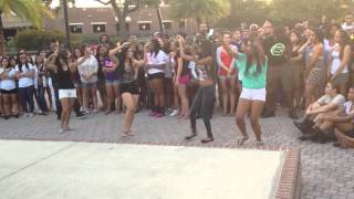 UCF Delta Phi Omega Strolling to Mr. Fete