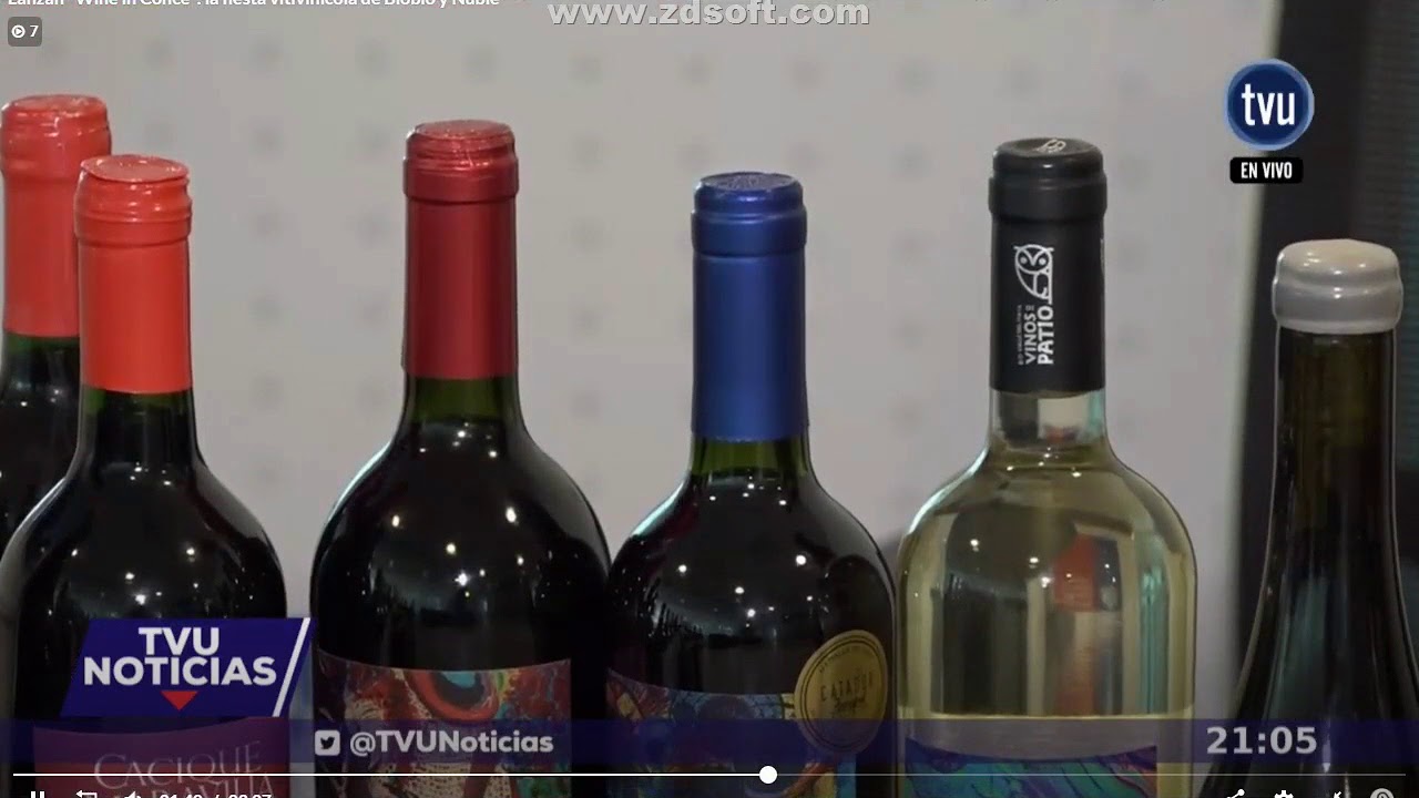 Seremi de Economía, Mauricio Gutiérrez: lanzamiento Oficial Wine in Conce