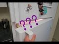Fitness Challenge &amp; What's in my fridge!?