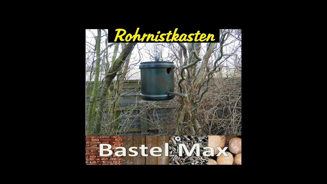 Nistkasten aus KG Rohr / Nesting box made of pipe