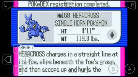 168: Where to Find Heracross in Pokemon Ruby!