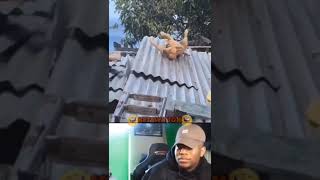 Download Lagu Meme viral ketawa #shorts #short #meme MP3