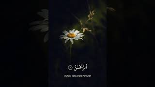 Surah Arrahman Ayat 16
