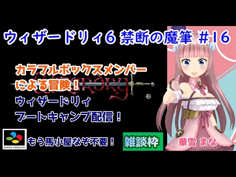 希少本 小説ウィザードリィ6 呪われし聖筆 レトロゲーム 希少本 小説ウィザードリィ6 呪われし聖筆 レトロゲーム