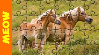 Jigsaw Puzzles | The Horse screenshot 1