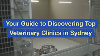 Your Guide to Discovering Top Veterinary Clinics in Sydney