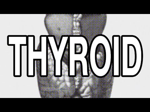Thyroid Is the Regulator of Your Entire Existence